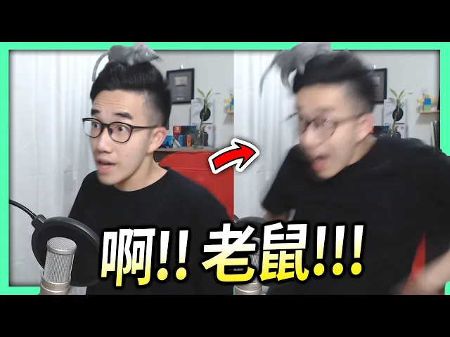 【有感筆電】啊啊啊!老鼠!